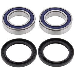 ALL BALLS WHEEL BEARING KIT (25-1132)