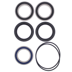 ALL BALLS WHEEL BEARING KIT (25-1620)