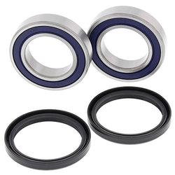 ALL BALLS WHEEL BEARING KIT (25-1698)