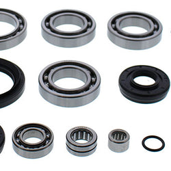 ALL BALLS DIFFERENTIAL BEARING & SEAL KIT (25-2110)