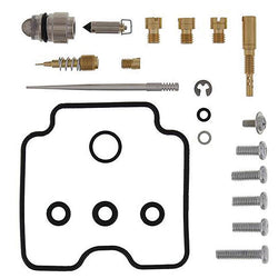 ALL BALLS CARBURETOR REPAIR KIT (26-1382)