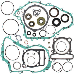 VERTEX GASKET SET & OIL SEALS (811861)