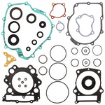 VERTEX GASKET SET & OIL SEALS (811865)