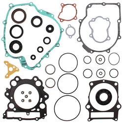 VERTEX GASKET SET & OIL SEALS (811865)