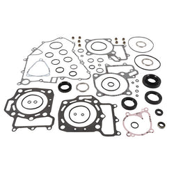 VERTEX GASKET SET & OIL SEALS (811883)