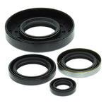 VERTEX TOP END GASKET SET (822169)
