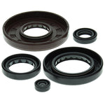 VERTEX TOP END GASKET SET (822210)