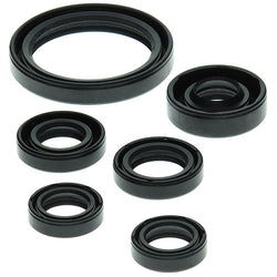 VERTEX TOP END GASKET SET (822238)