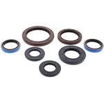 VERTEX TOP END GASKET SET (822256)