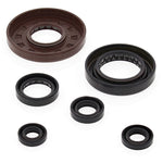 VERTEX TOP END GASKET SET (822276)