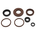 VERTEX TOP END GASKET SET (822384)