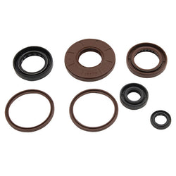 VERTEX TOP END GASKET SET (822384)