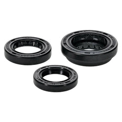 VERTEX TOP END GASKET SET (822398)