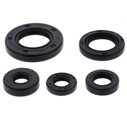 VERTEX TOP END GASKET SET (822990)
