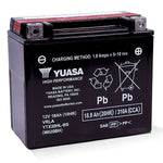 YUASA SERIES BATTERY (YUAM620BH)